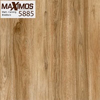 mẫu gạch giả gỗ 80x80 Vitto 5885