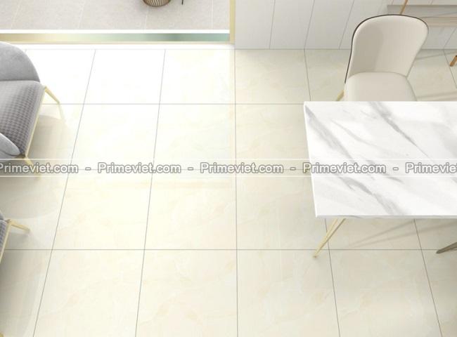Phối cảnh sản phẩm Phối cảnh sản phẩm
