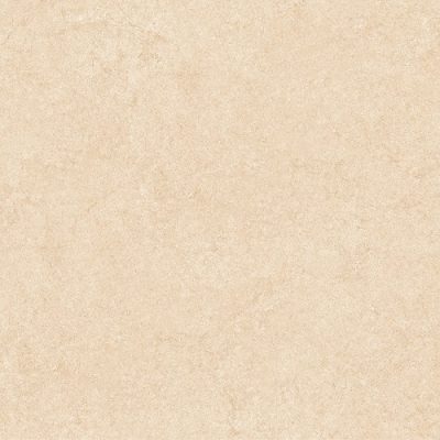 Gạch lát nền Prime 60x60 25005