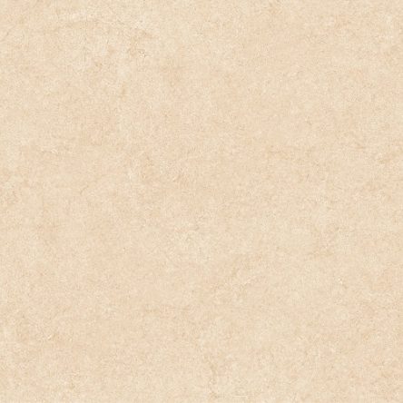 Gạch lát nền Prime 60x60 25005 - Thumbnail ảnh chính