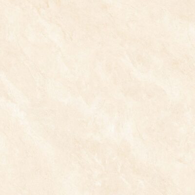 Gạch lát nền Prime 100x100 21320