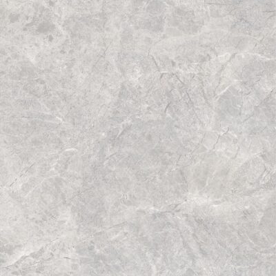 Gạch lát nền Prime 100x100 21E00