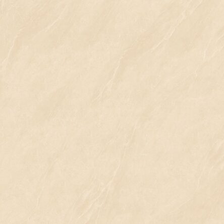 Gạch lát nền Prime 100x100 92504 - Thumbnail ảnh chính