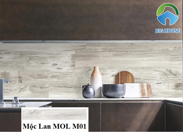 Mã gạch Eurotile MOL M01 toát lên vẻ đẹp thanh lịch cho không gian bếp hiện đại
